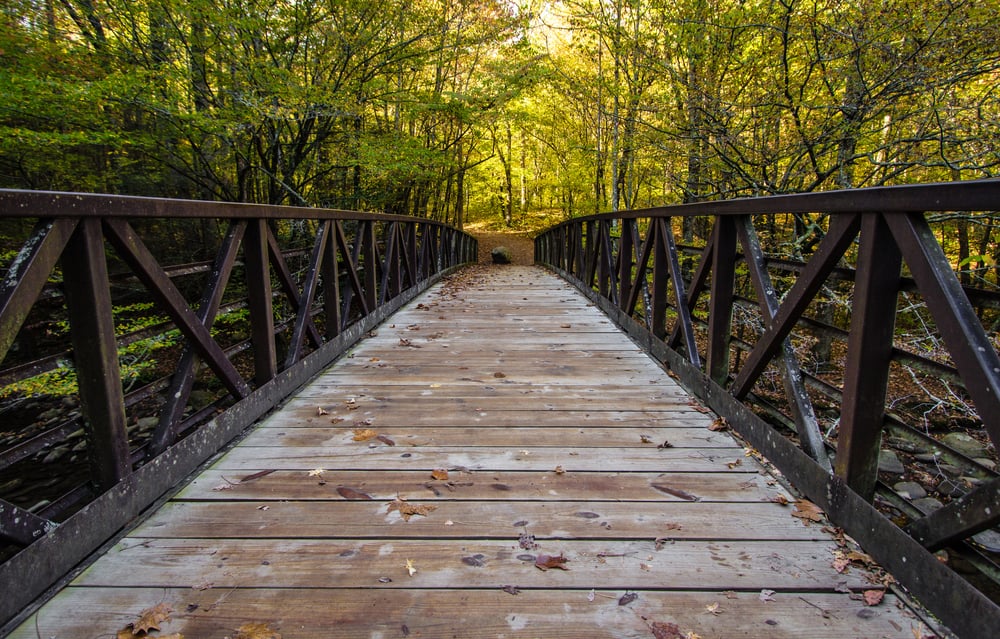 Top 6 Easy Hikes In The Smoky Mountains You Should Try