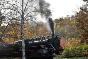 dollywood express