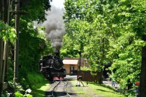 Dollywood train riding through Smokies