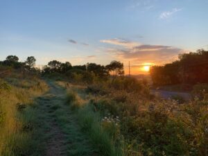 Sunrise over mowed walking trail at Seven Islands State Birding Park