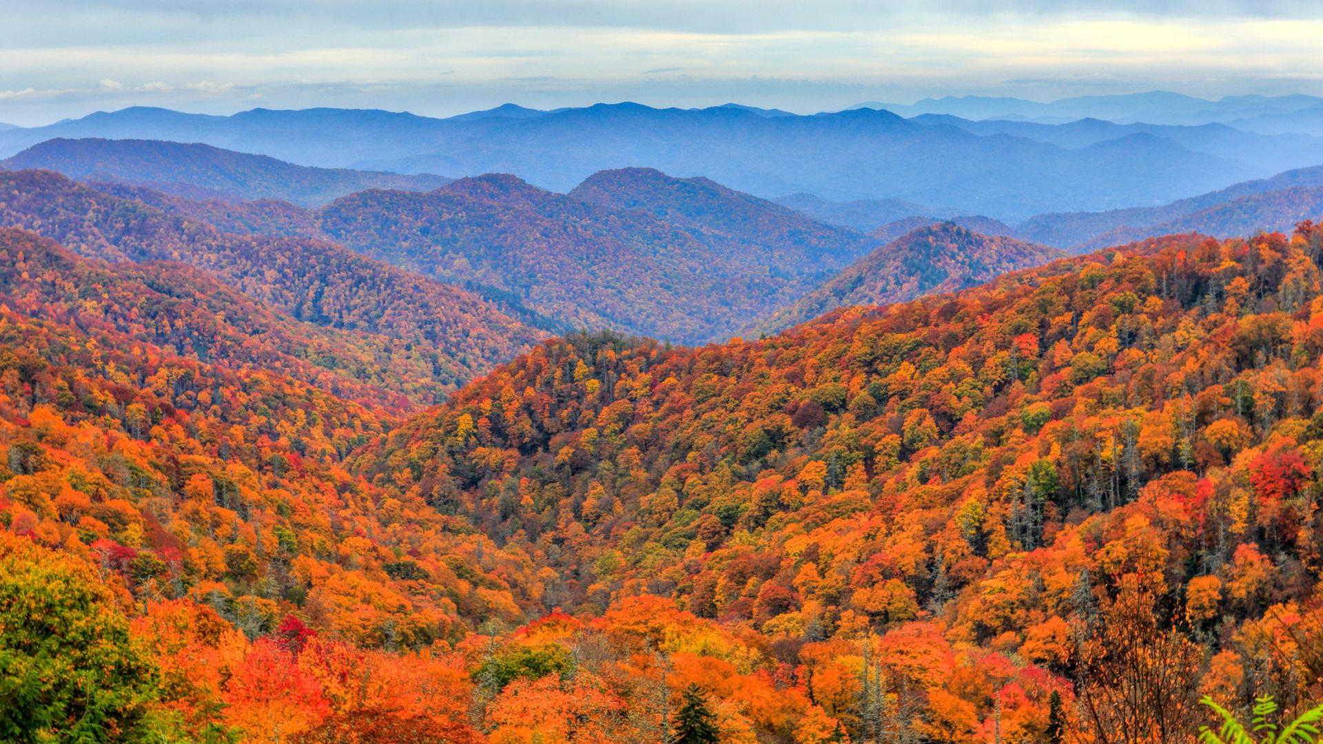 Pigeon Forge fall foliage hotel